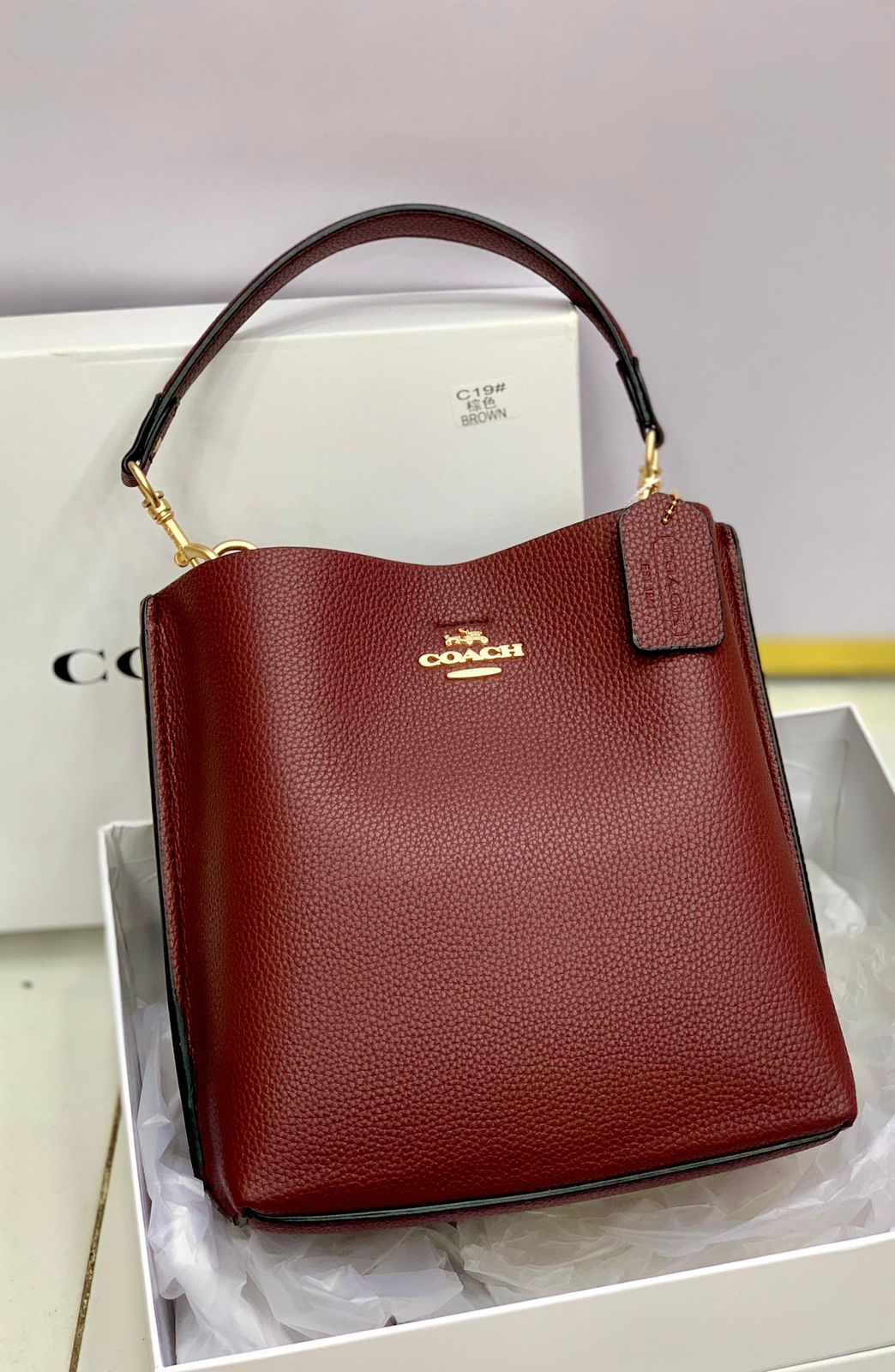 Coach Mollie Bucket Bag 22