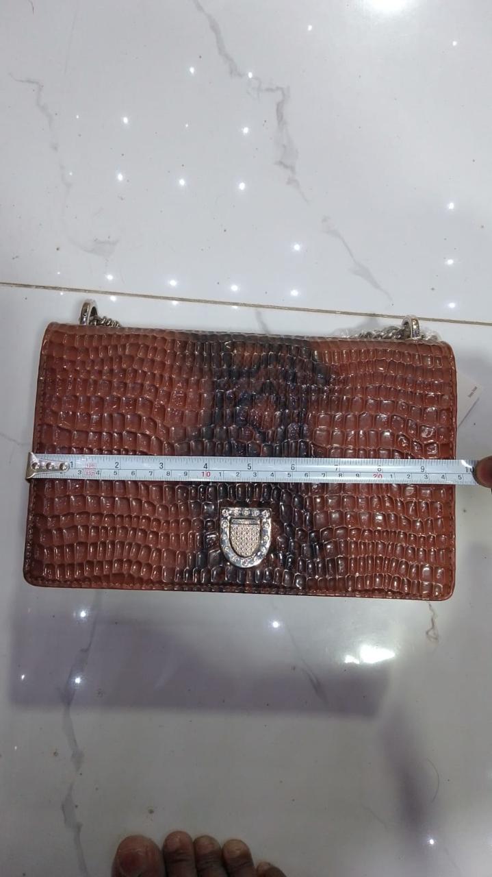 Dior Saddle Chain Bag Style Snake Texture