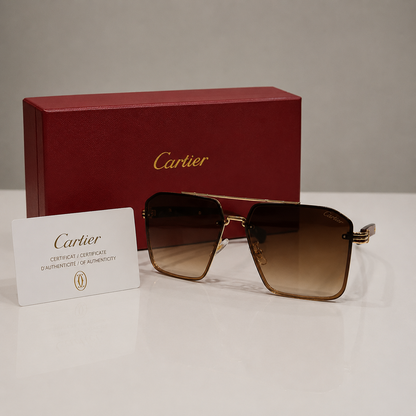 Cartier Santos Oversized Square Gradient Sunglasses
