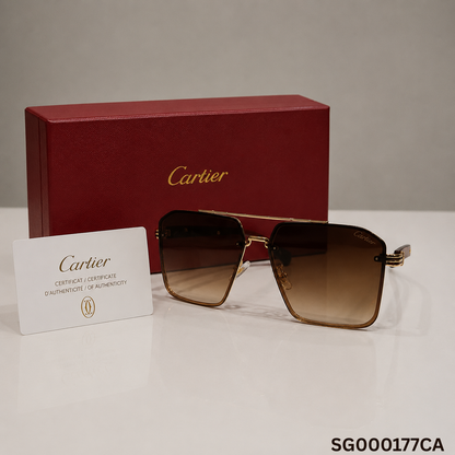 Cartier Santos Oversized Square Gradient Sunglasses