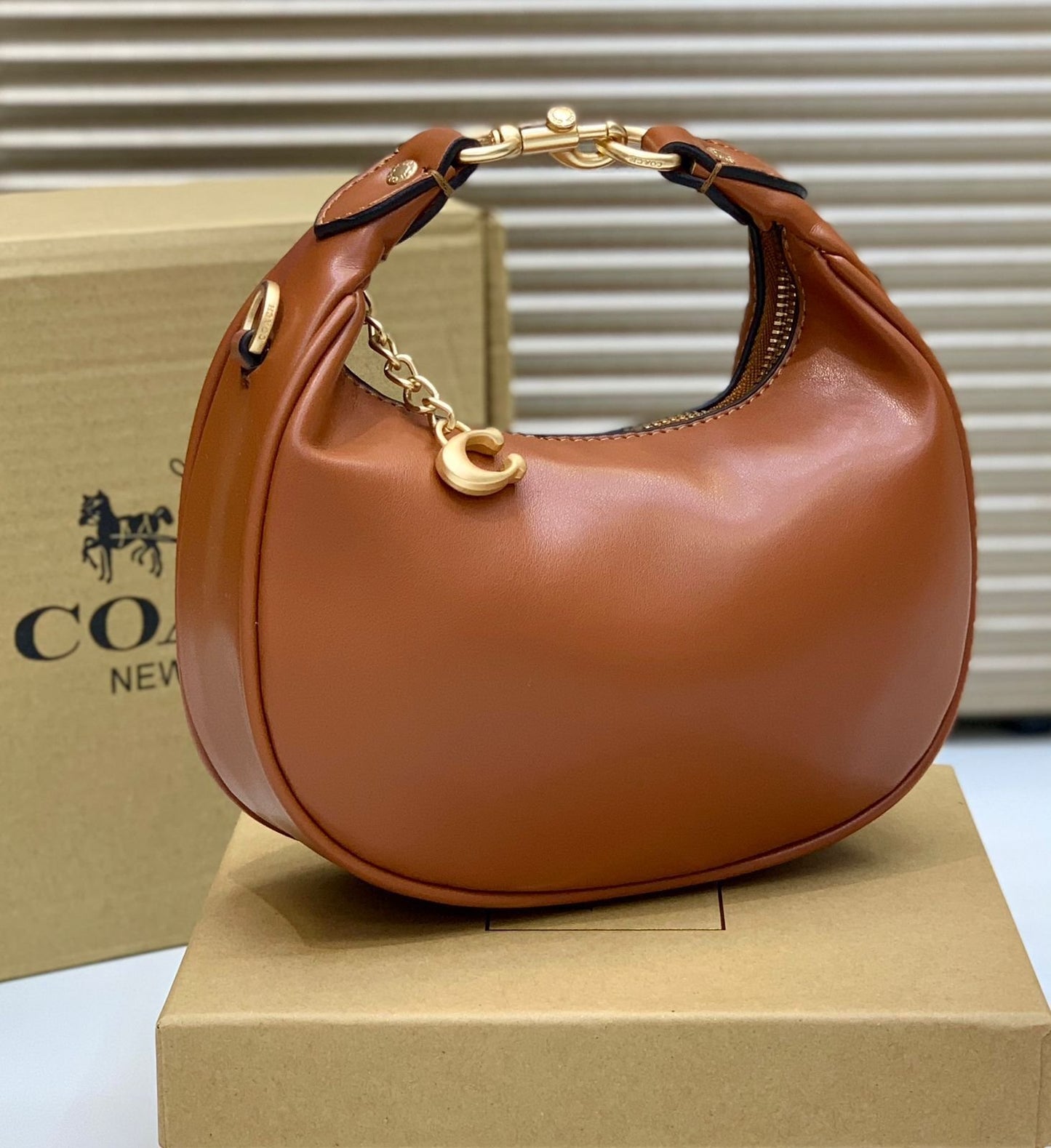 Coach Mini Leather Crescent Shoulder Bag