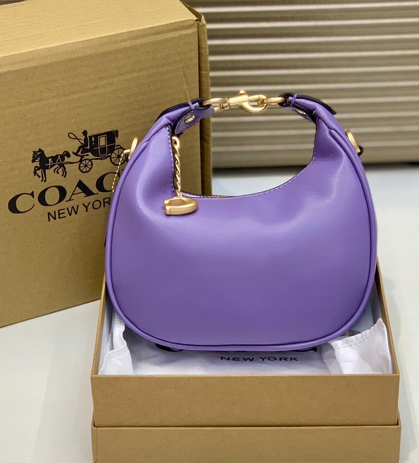 Coach Mini Leather Crescent Shoulder Bag