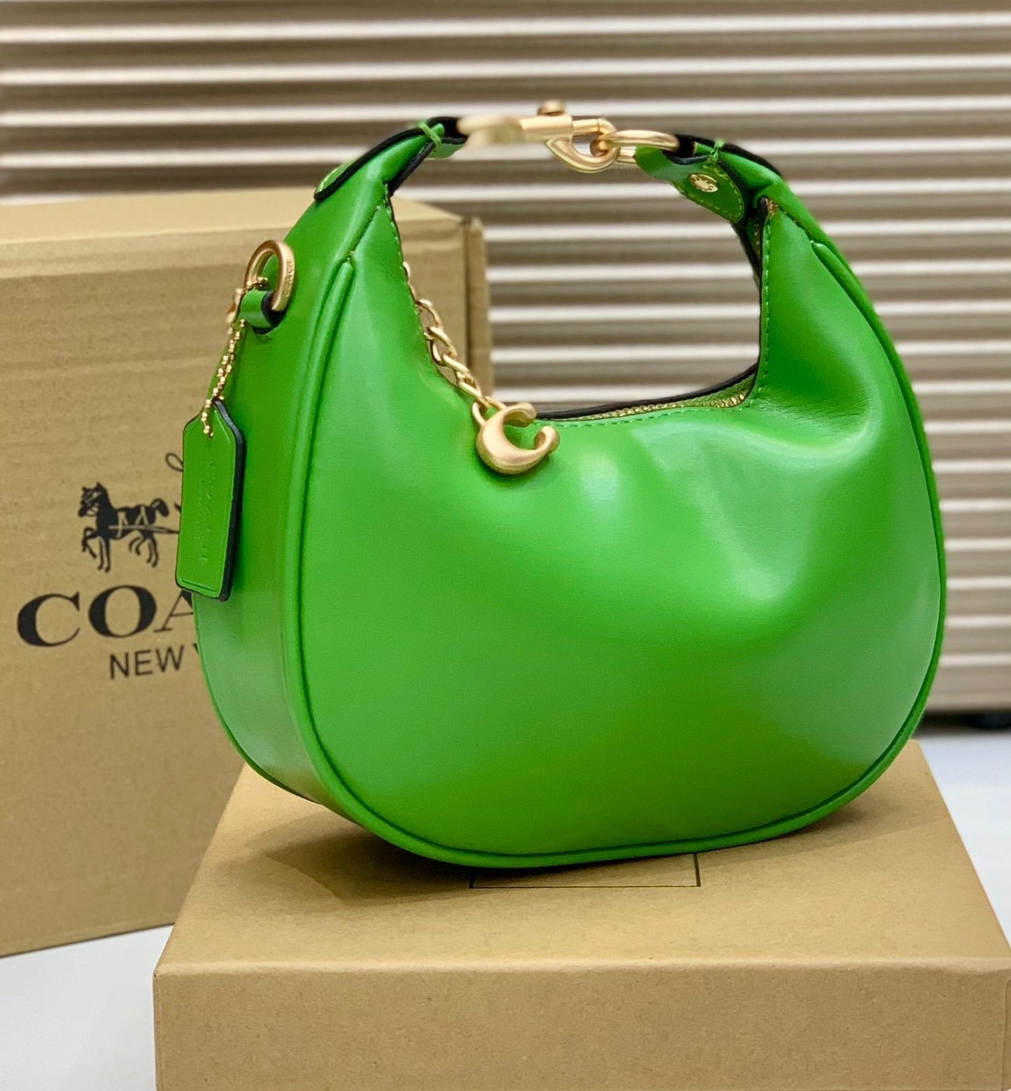 Coach Mini Leather Crescent Shoulder Bag
