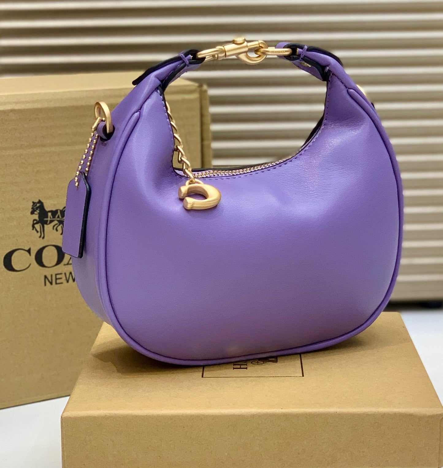 Coach Mini Leather Crescent Shoulder Bag