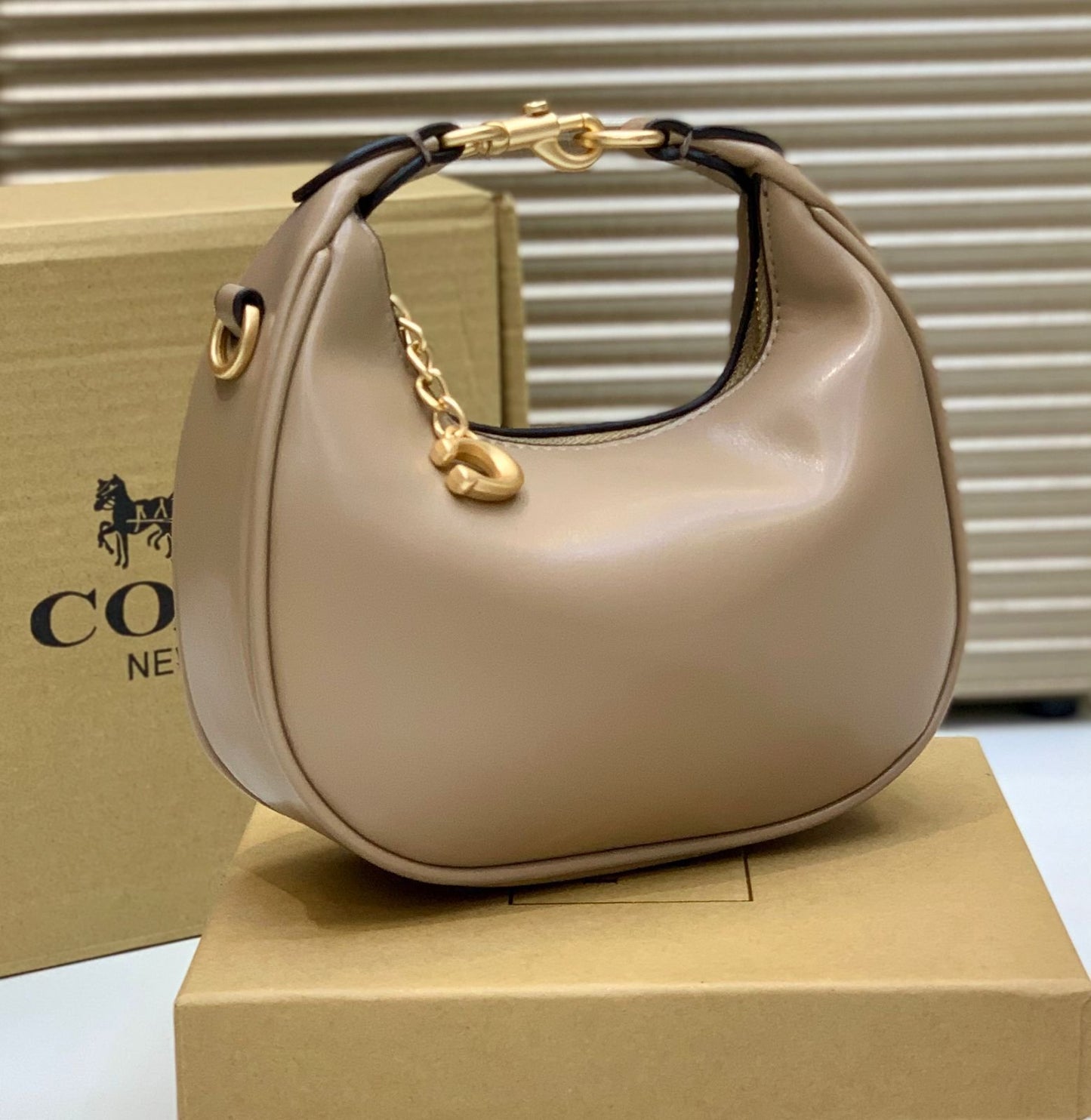 Coach Mini Leather Crescent Shoulder Bag