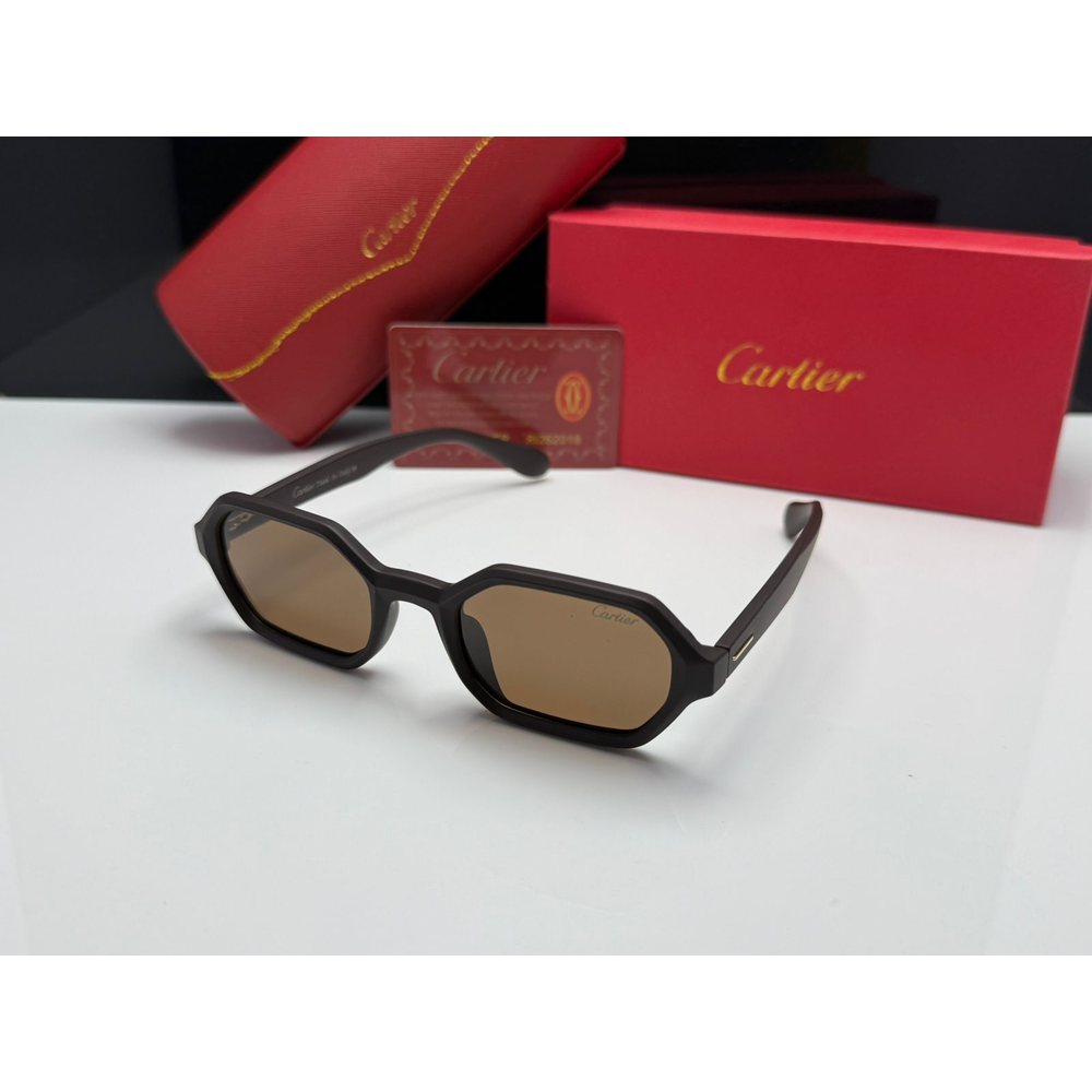 Cartier Geometric Acetate Sunglasses