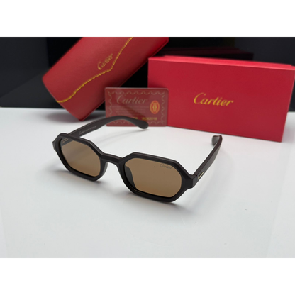 Cartier Geometric Acetate Sunglasses