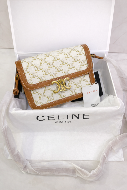 Celine Triomphe Embossed Small Shoulder Bag with Gold Logo