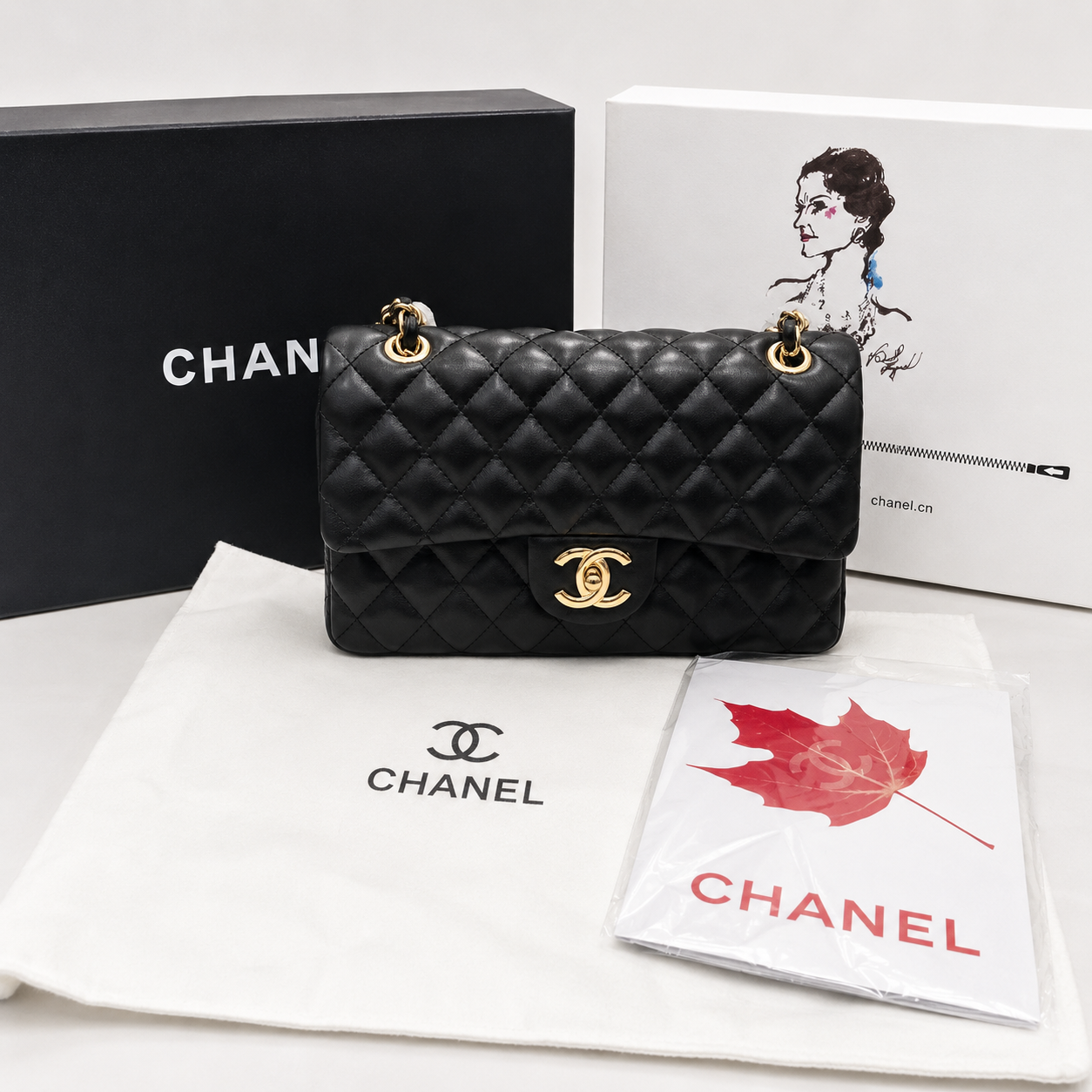 Chanel Classic Double Flap Bag