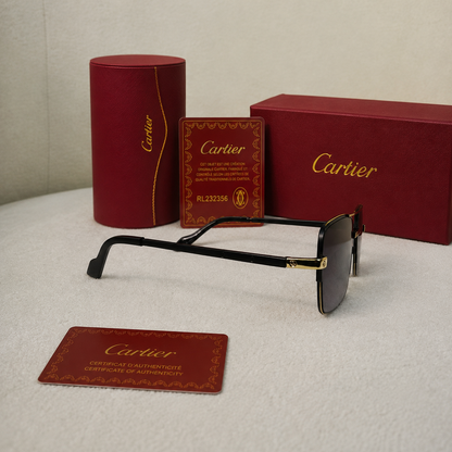 Cartier Santos Square Metal Sunglasses