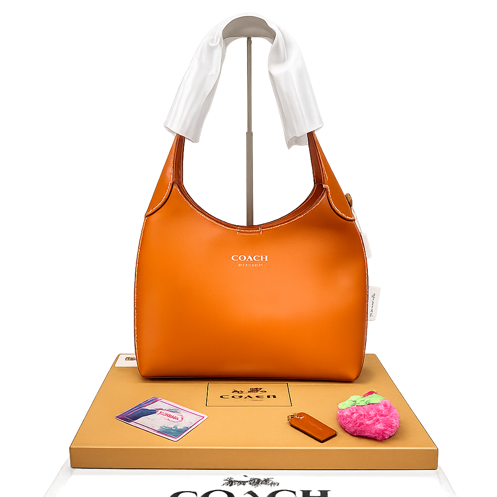 Coach City Hobo Shoulder Bag