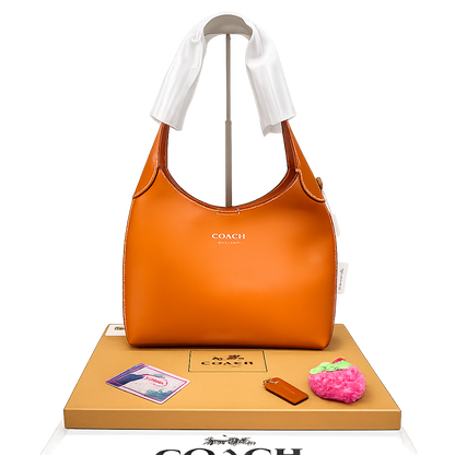Coach City Hobo Shoulder Bag