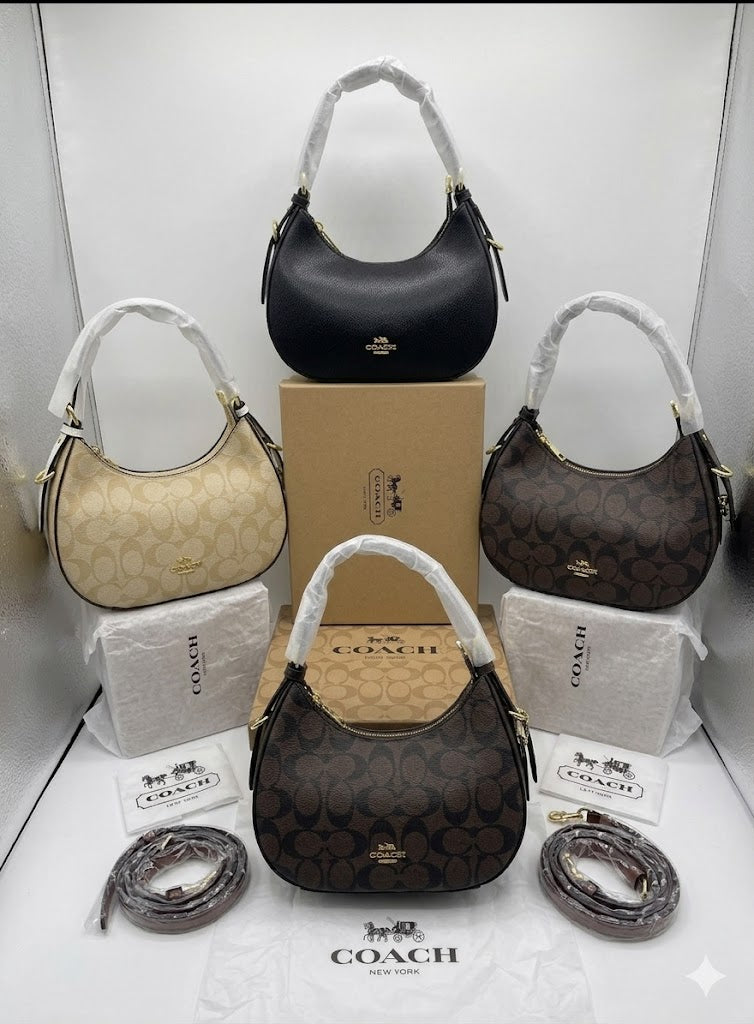 Coach Kleo Hobo Bag