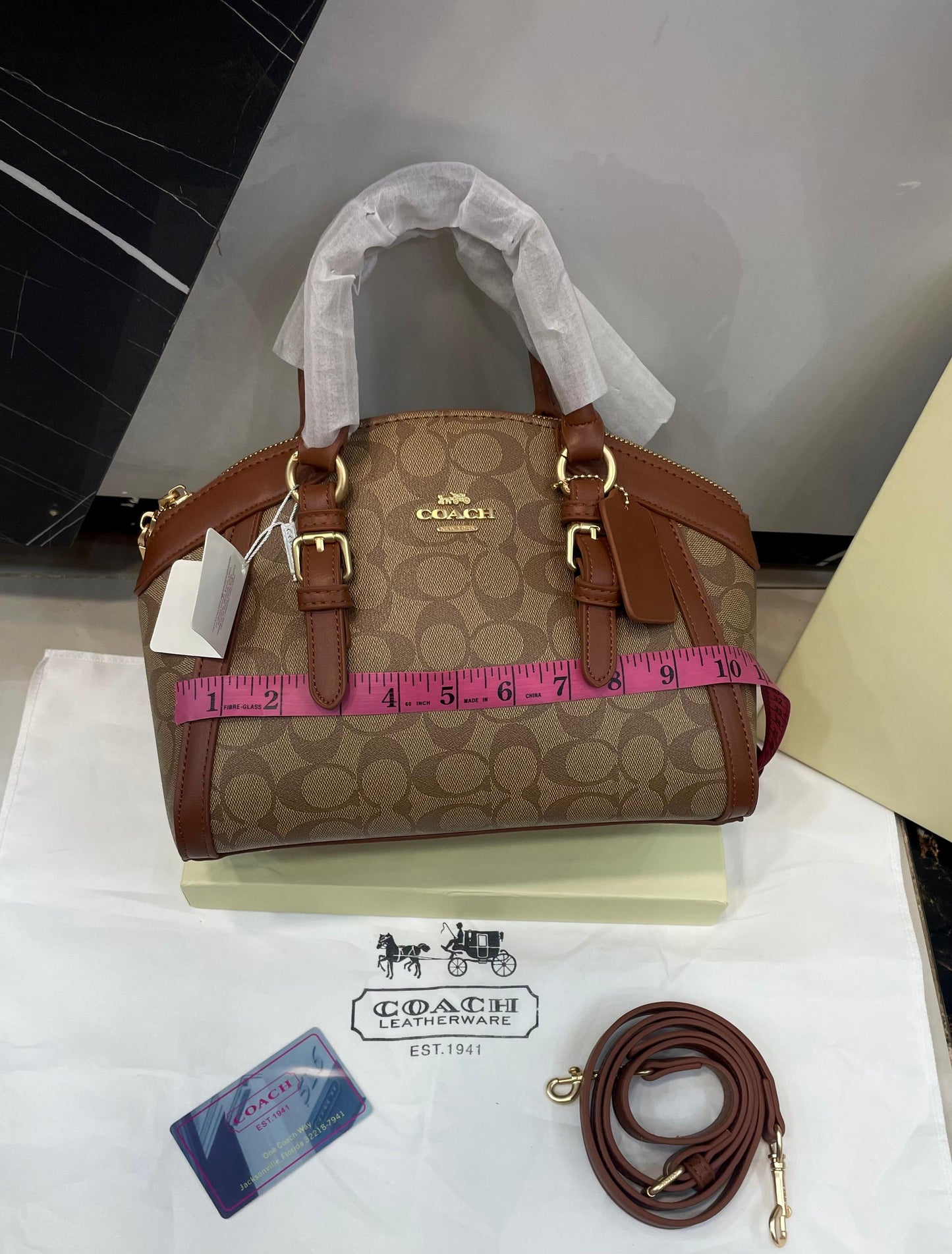 Coach Mini Sage Carryall