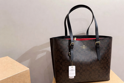 Coach Mollie Tote Bag