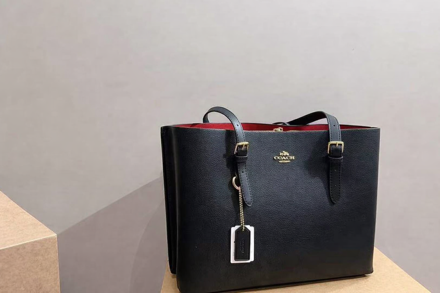 Coach Mollie Tote Bag