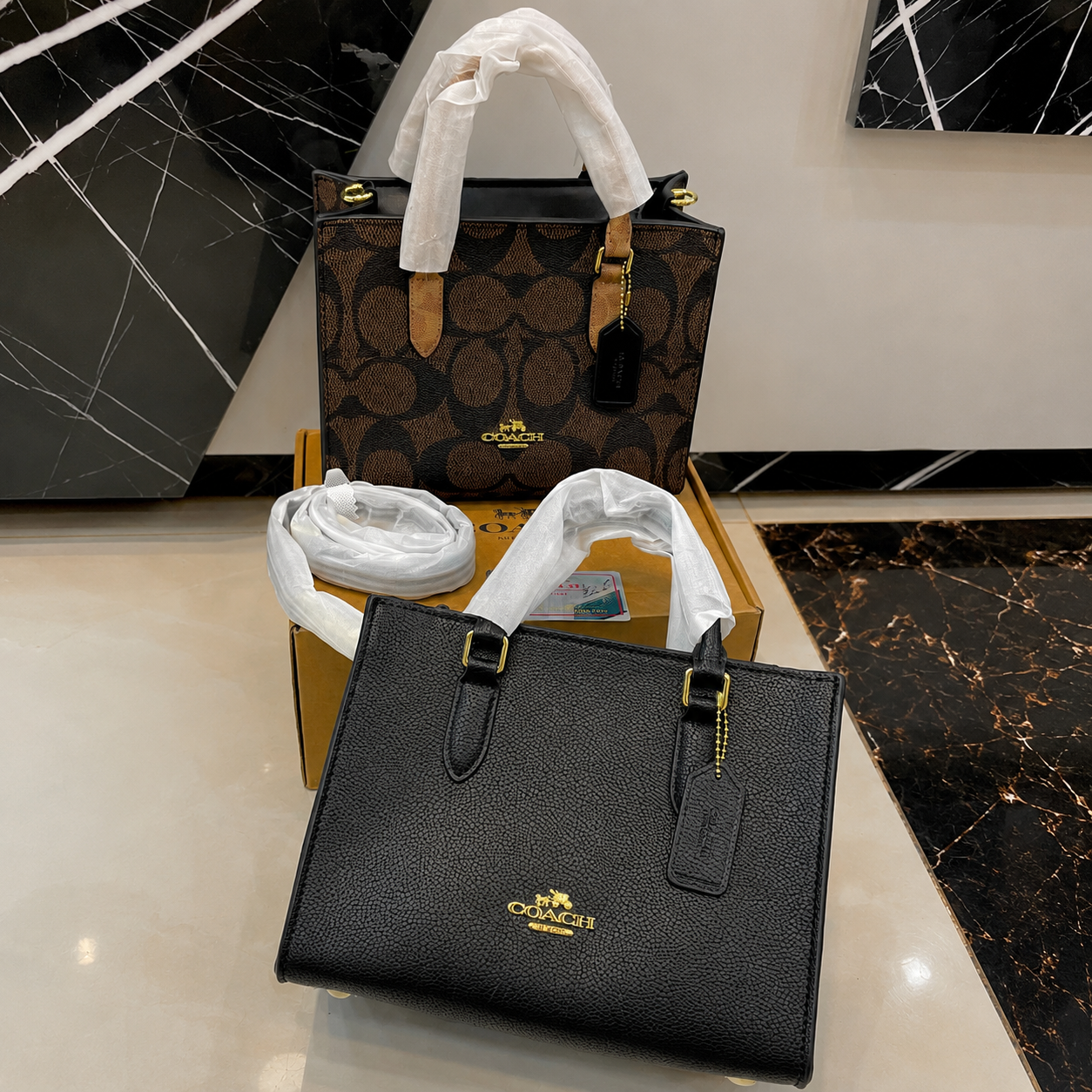 Coach Signature Mini Tote Bag