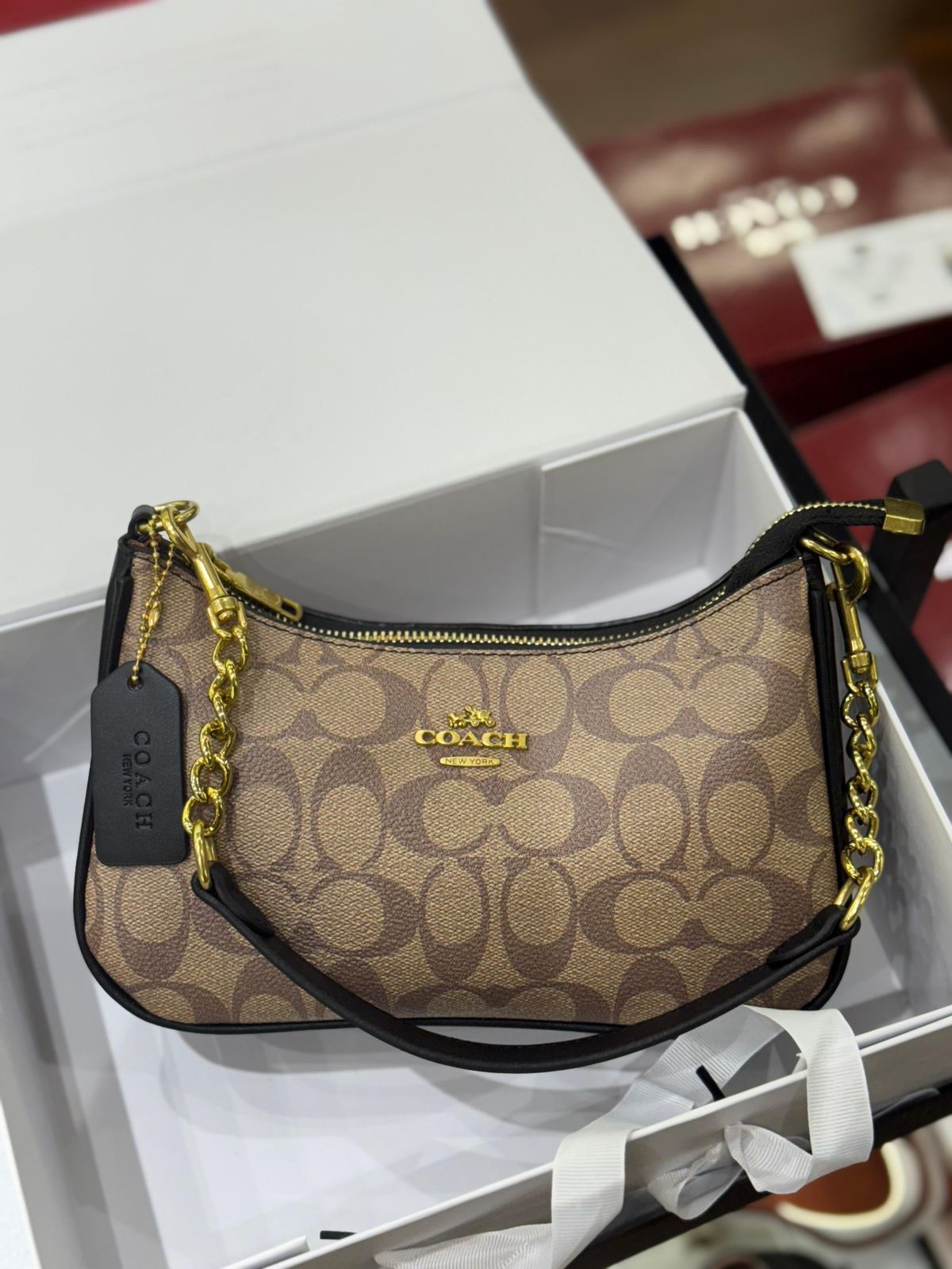 Coach Teri Shoulder Bag