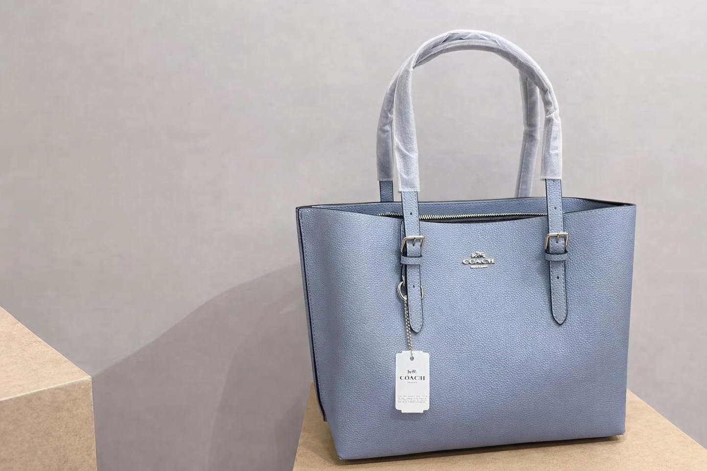 Coach Mollie Tote Bag