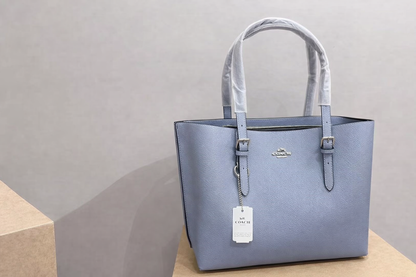 Coach Mollie Tote Bag
