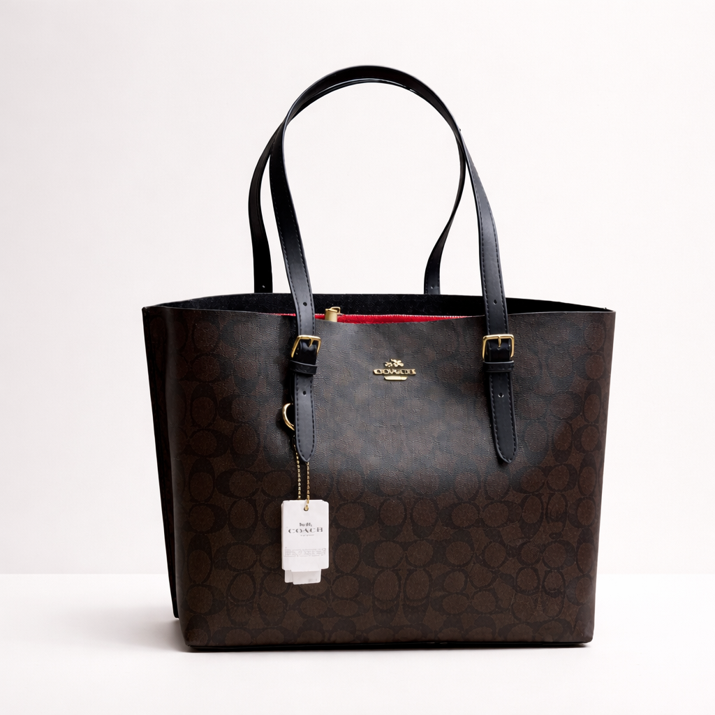 Coach Mollie Tote Bag