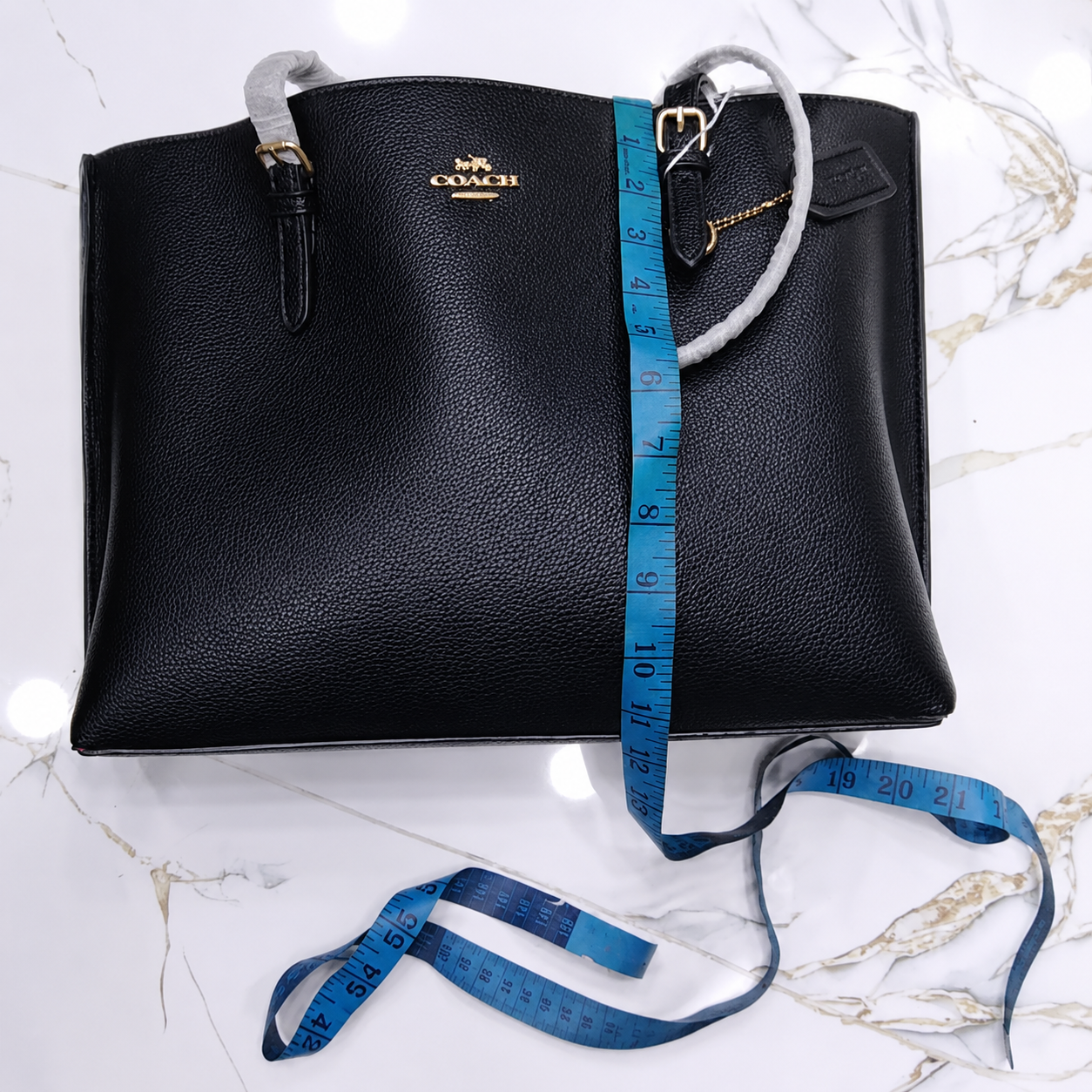 Coach Mollie Tote Bag