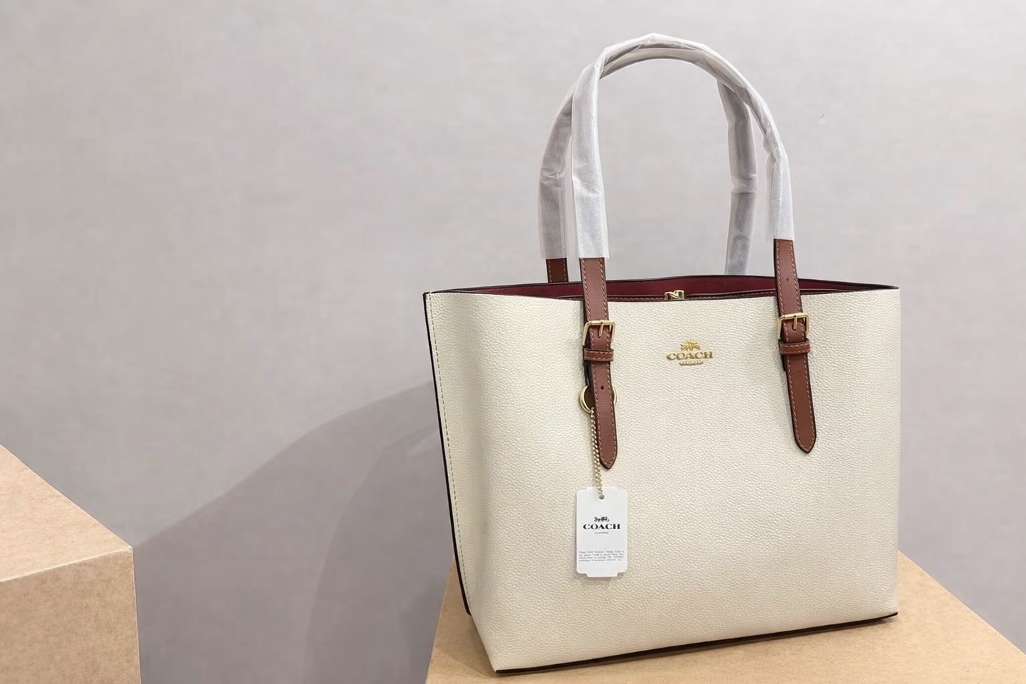 Coach Mollie Tote Bag