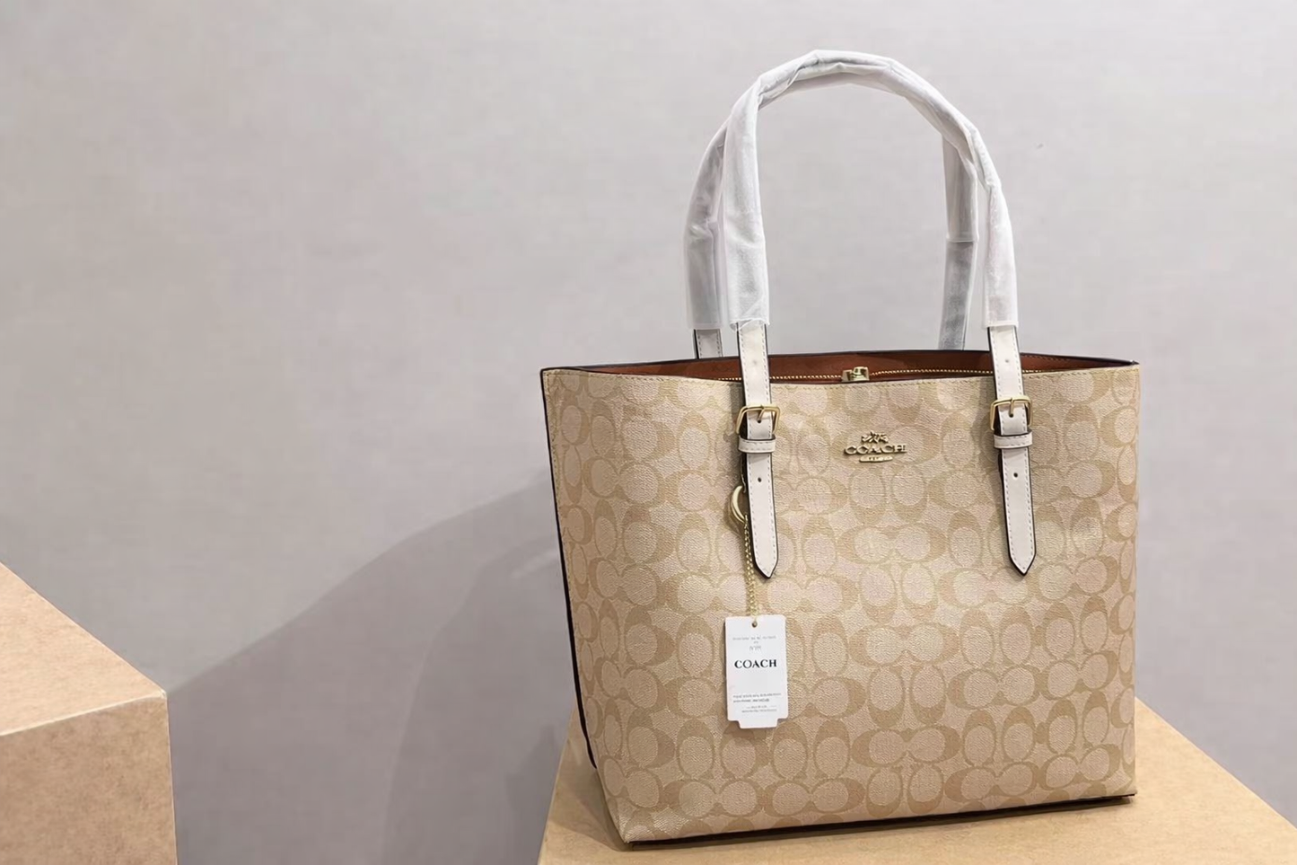 Coach Mollie Tote Bag