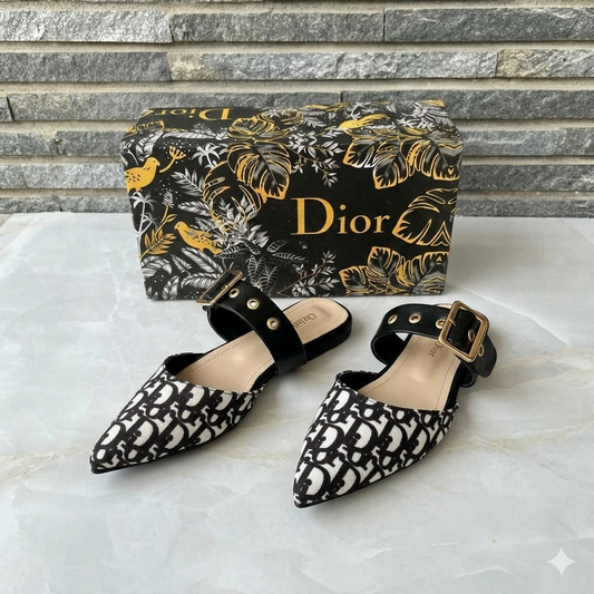 Dior Oblique Buckle Strap Mule Slides
