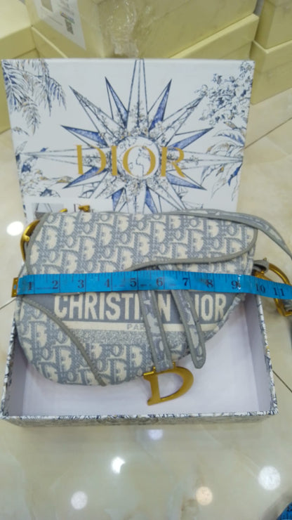 Dior Saddle Bag (Oblique Jacquard Canvas)