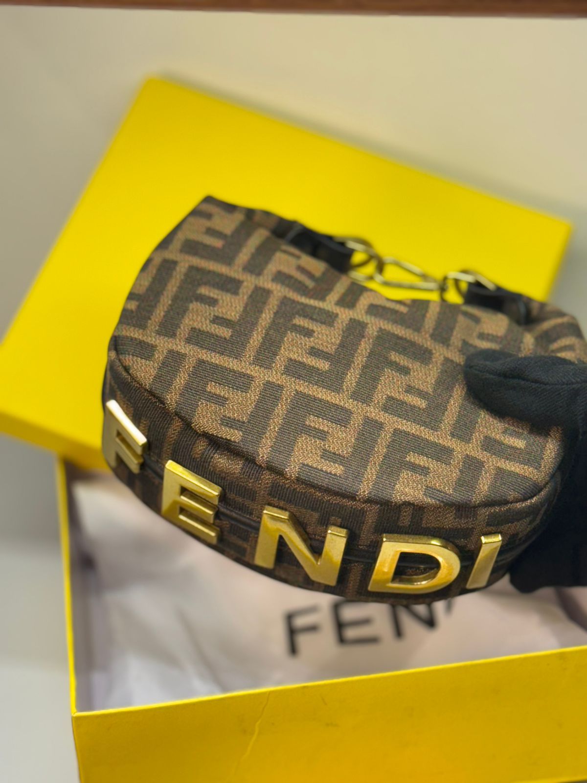 Fendi Fendigraphy Mini Hobo Bag