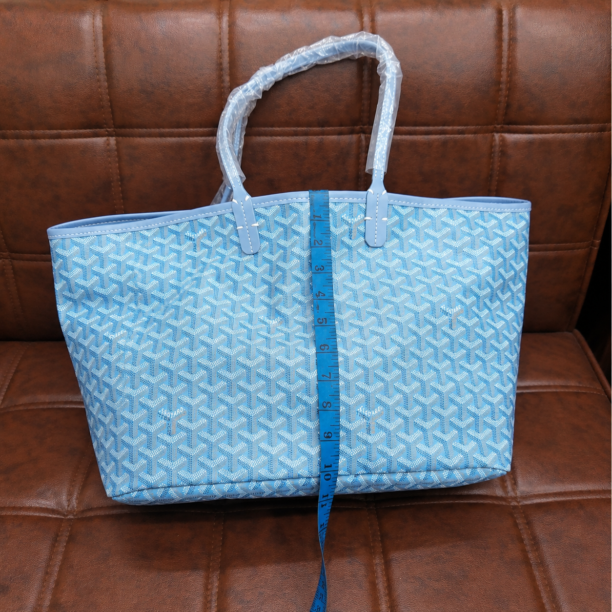 Goyard Saint Louis PM Tote Bag
