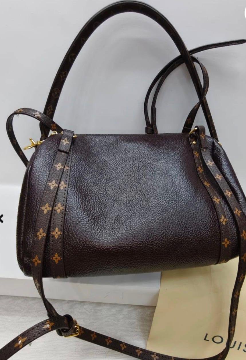 Louis Vuitton CarryAll PM–Style Leather Shoulder Bag