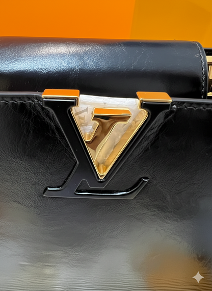 Louis Vuitton Capucines Top-Handle Handbag (LIMITED EDITION)
