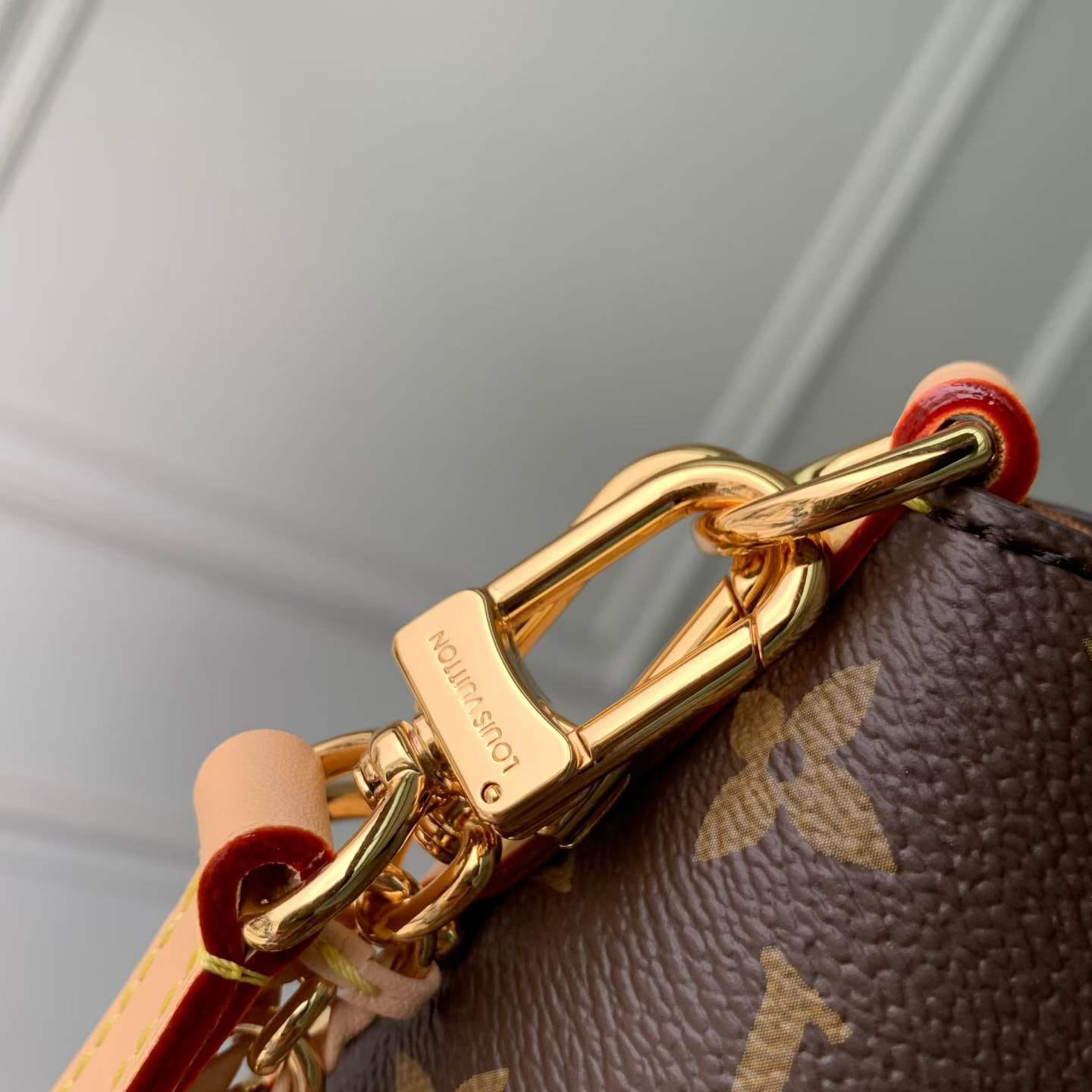 Louis Vuitton CarryAll MM Monogram Bag