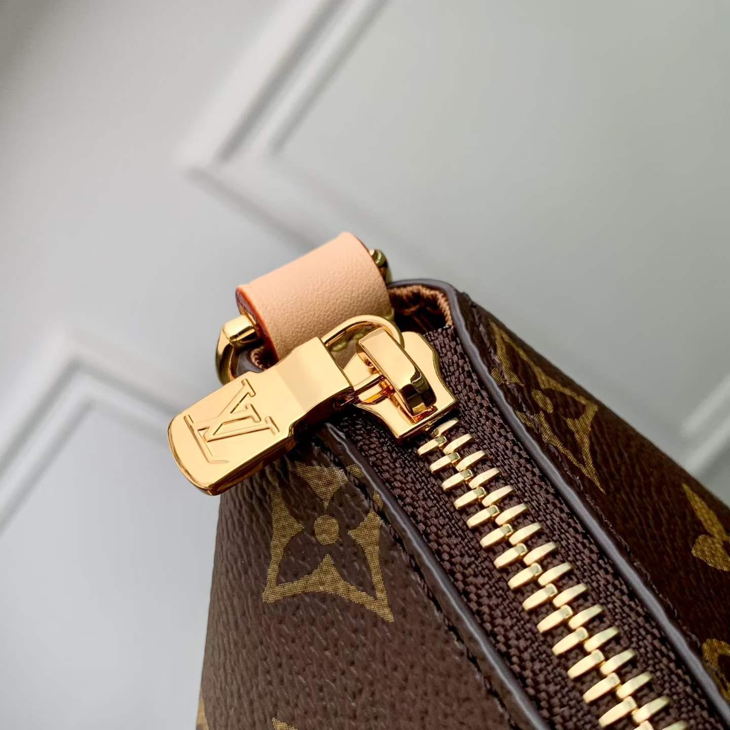 Louis Vuitton CarryAll MM Monogram Bag