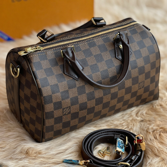 Louis Vuitton Damier Ebene Speedy Style Bag