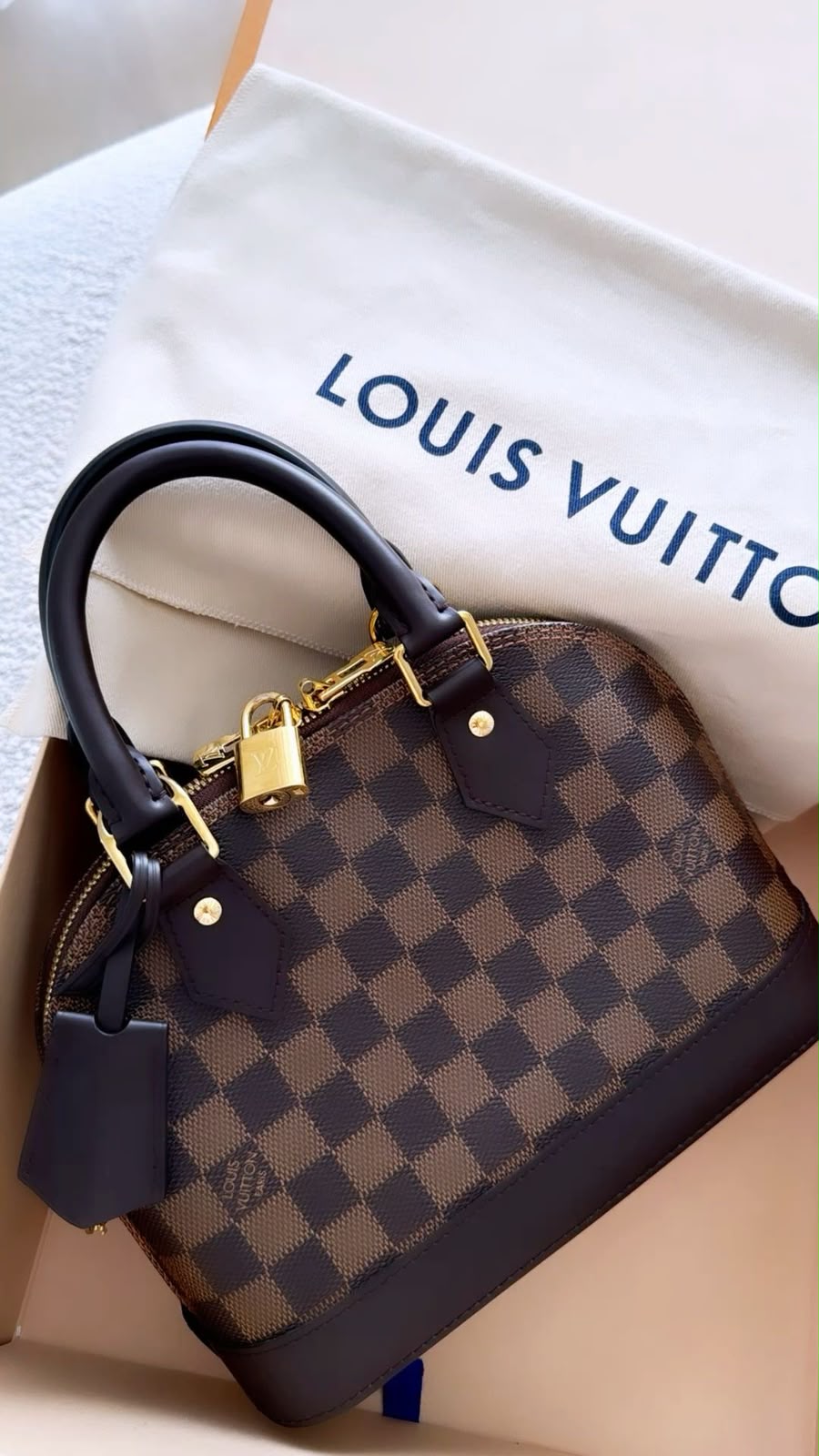 Louis Vuitton Alma BB Bag (Damier Ebene Canvas) - Official Model
