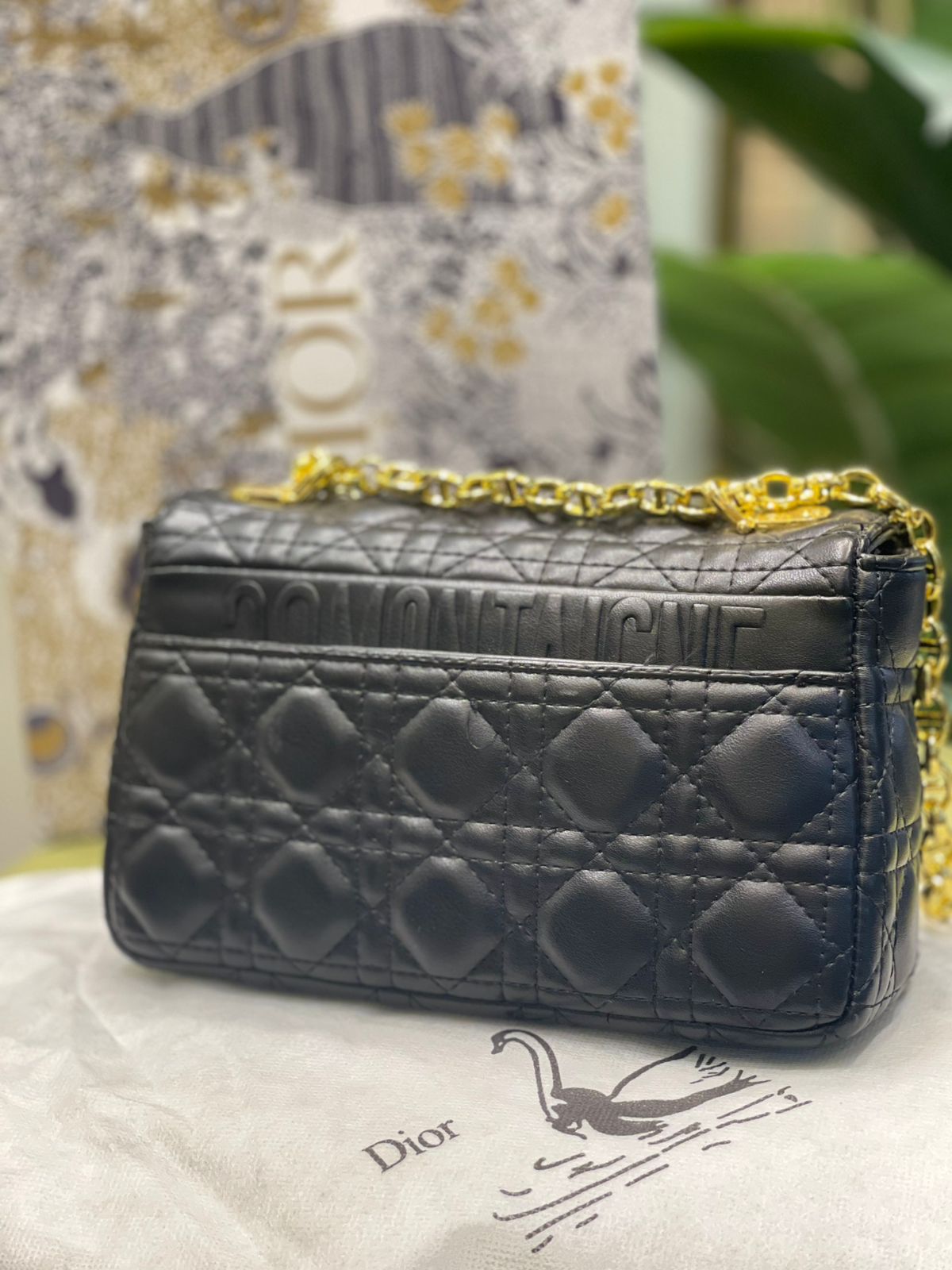 Dior Caro Medium Flap Bag (Cannage Quilted)