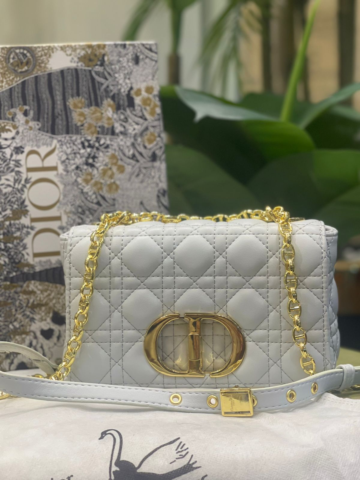 Dior Caro Medium Flap Bag (Cannage Quilted)