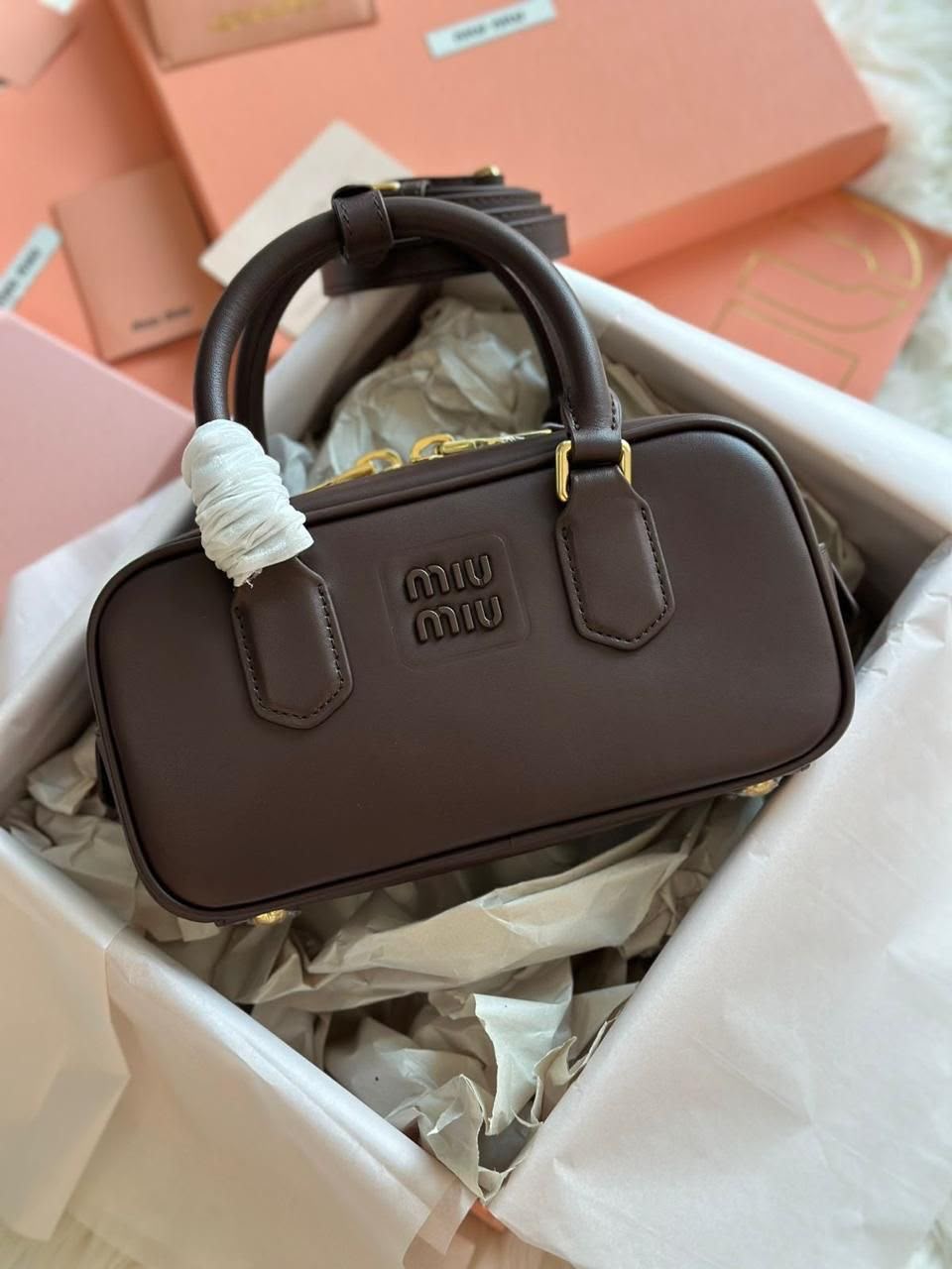 Miu Miu Arcadie leather bag