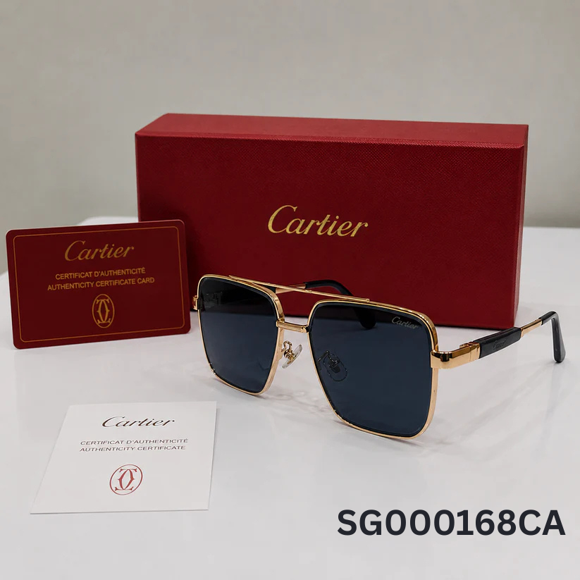 Cartier Santos Oversized Square Gradient Sunglasses