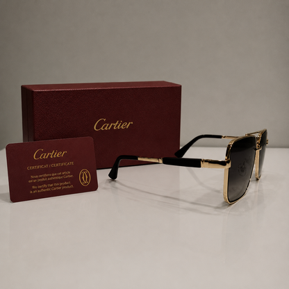 Cartier Santos De Cartier Square Sunglasses - Gold/Brown