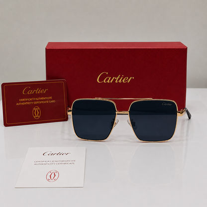 Cartier Santos Oversized Square Gradient Sunglasses