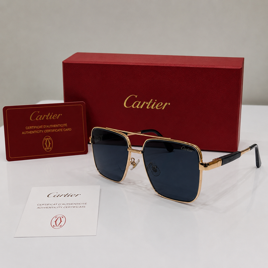 Cartier Santos Oversized Square Gradient Sunglasses