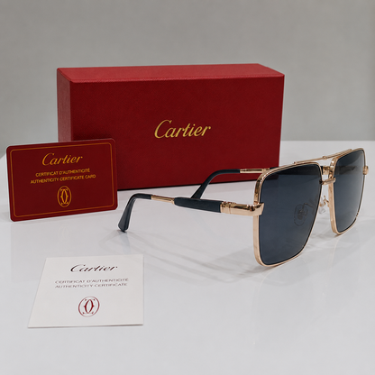 Cartier Santos Oversized Square Gradient Sunglasses