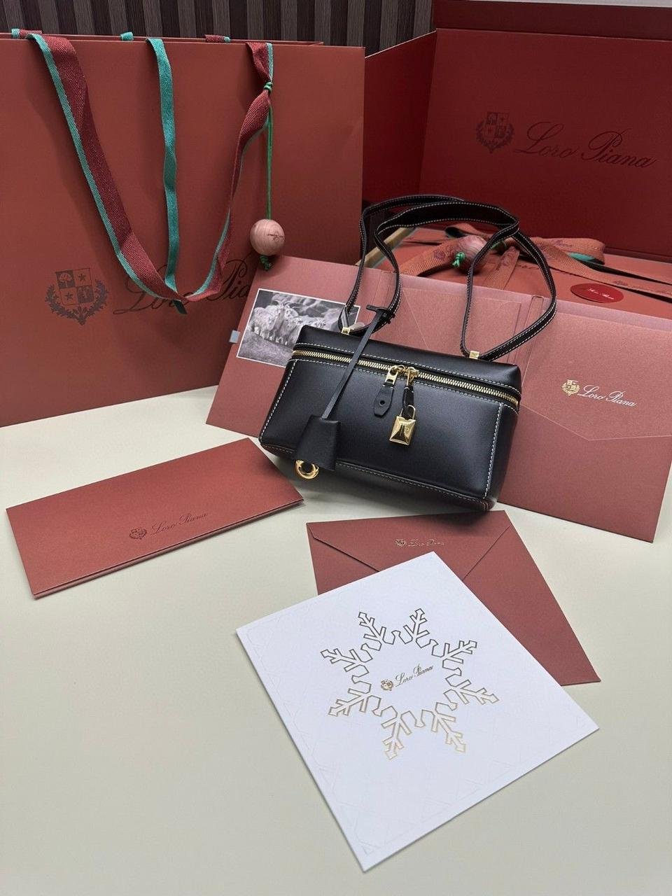Loro Piana Style Zip Leather Mini Travel Bag