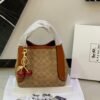 Coach Cherry Charm Mini Hobo Bag