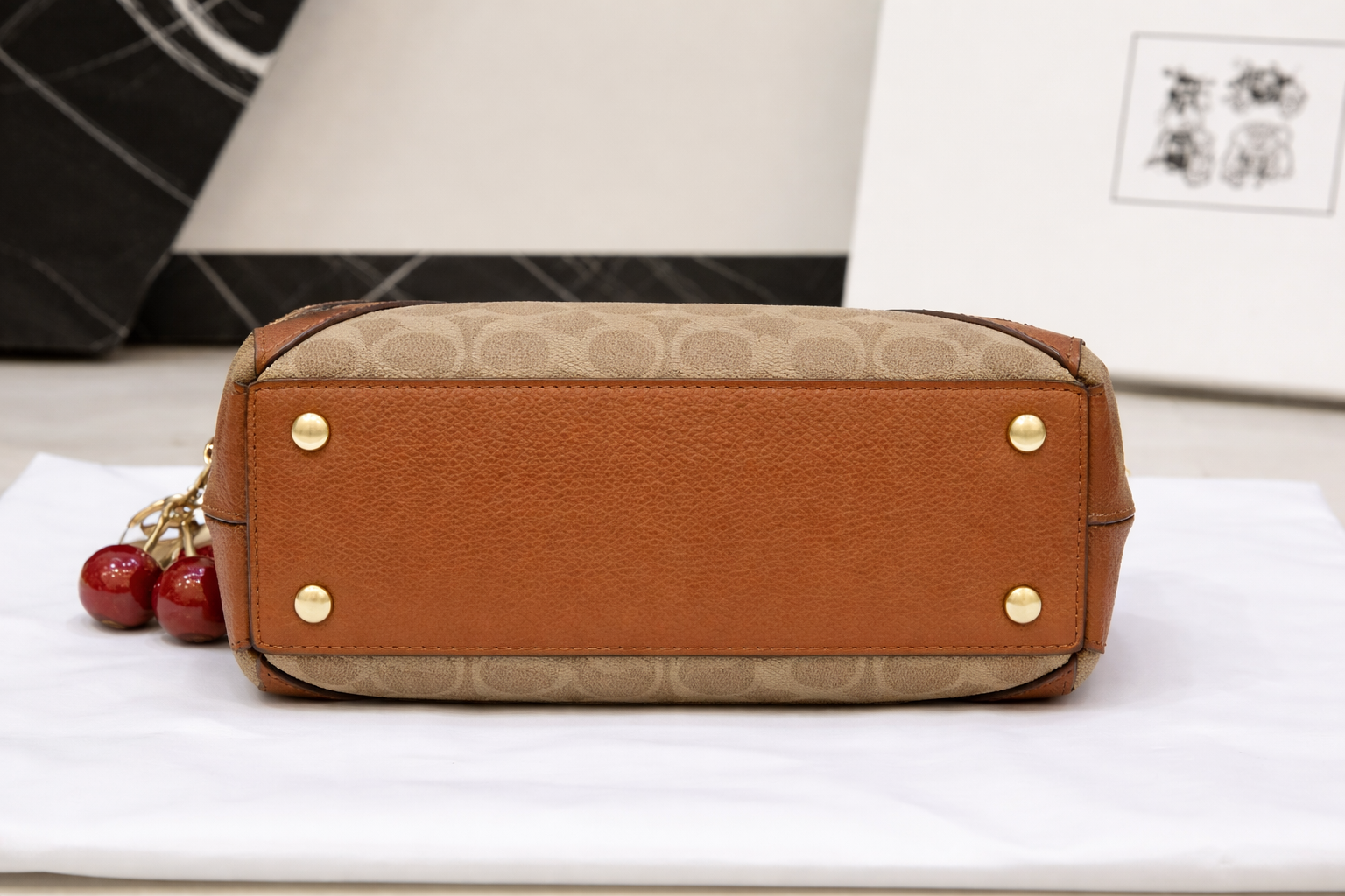 Coach Cherry Charm Mini Hobo Bag