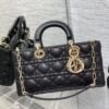 Dior D-Joy Bag